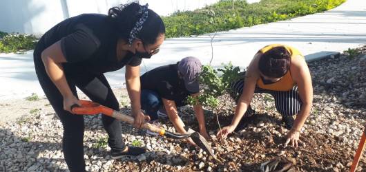 Conciencia Ambiental