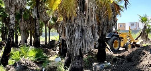 Rescate de flora y fauna