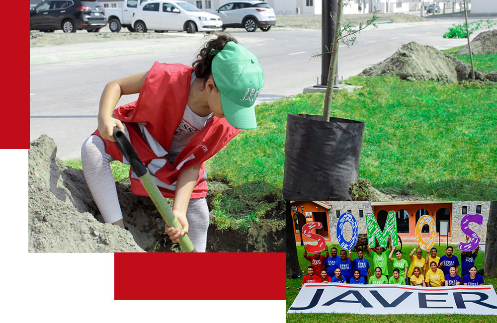 sostenibilidad Javer